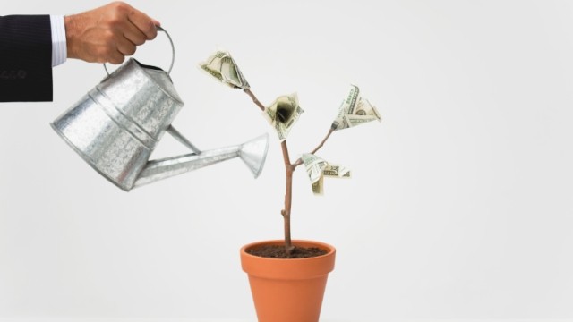 Hand with silver watering can and pot with a small money tree.  