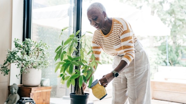 Woman smiling and watering money tree