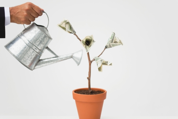 Hand with silver watering can and pot with a small money tree.  