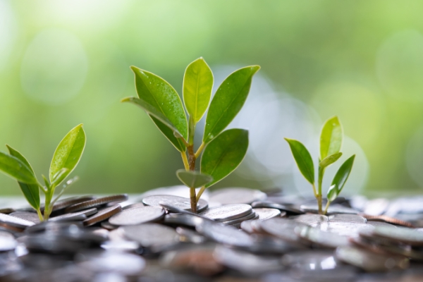 Three green growing plants with quarters surrounding them.