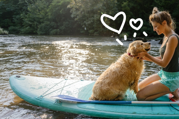 Paddleboarder with dog and doodles 