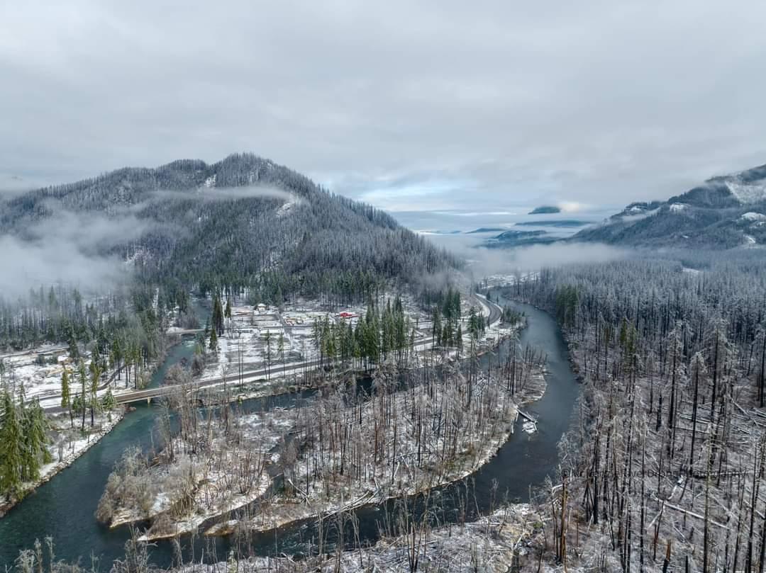 an image of a neighborhood hit by the jan 2024 ice storm